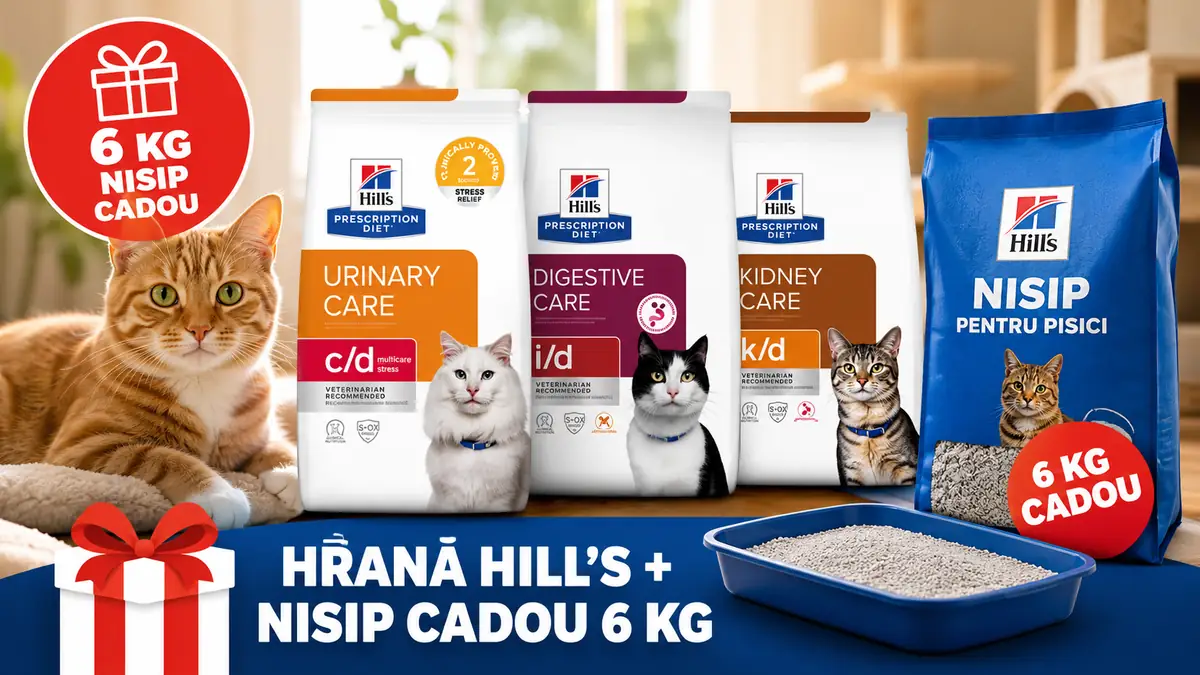 Hrană uscată Hill’s pentru pisici, alături de nisip pentru litieră și mesajul „6 kg nisip cadou”.