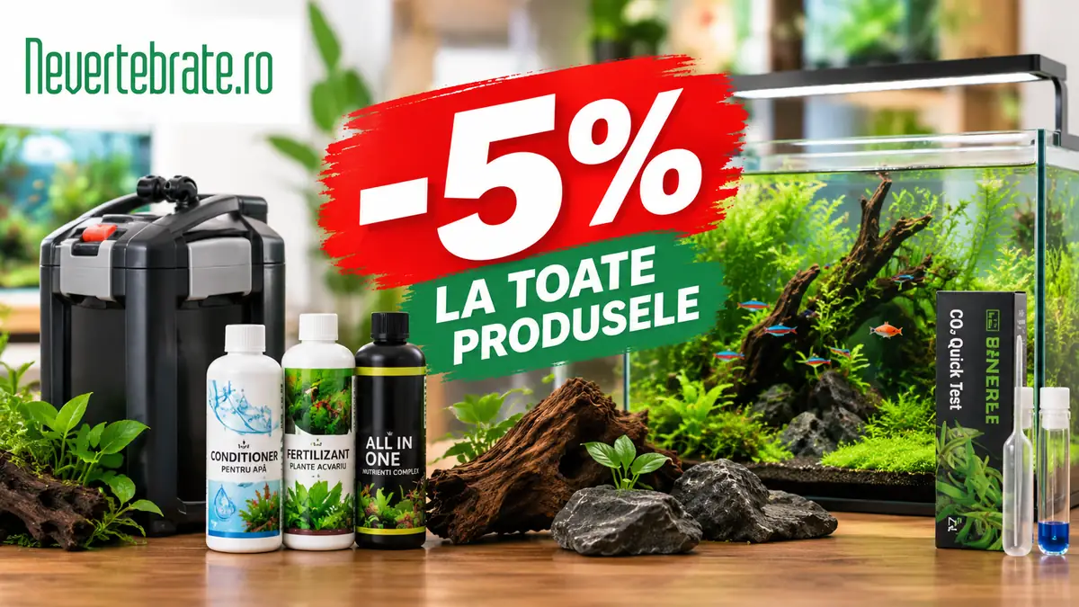 Acvariu plantat, filtru, fertilizanți și test CO₂, cu mesajul „-5% la toate produsele” și logo Nevertebrate.ro.
