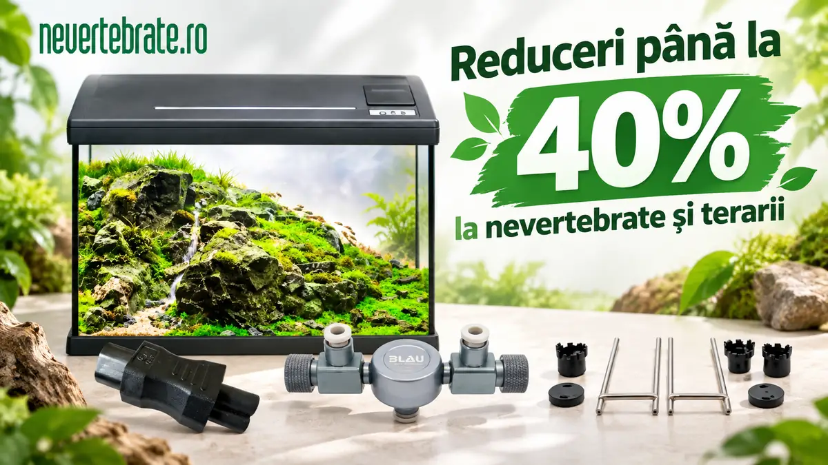 Acvariu plantat și accesorii pentru terarii, cu mesajul Reduceri până la 40% și logo Nevertebrate.