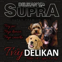 Delikan logo
