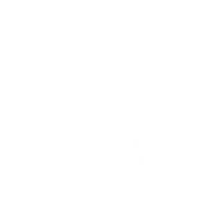 Dirt Devil logo
