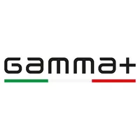 GammaPiu logo