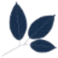 Phyto logo