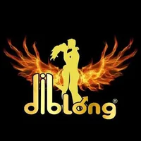 Diblong Romania logo