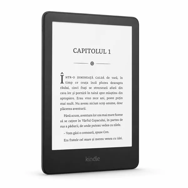 eBook reader standard pe un fundal alb