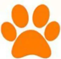 ABC Zoo logo