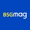 BSG Mag logo