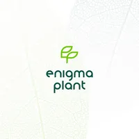 Enigma Plant logo