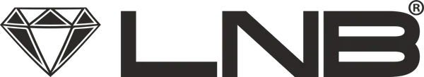 Linails Boutique logo