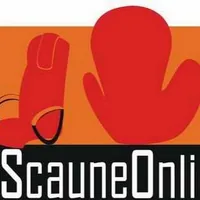 Scaune Online logo