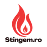 Stingem logo