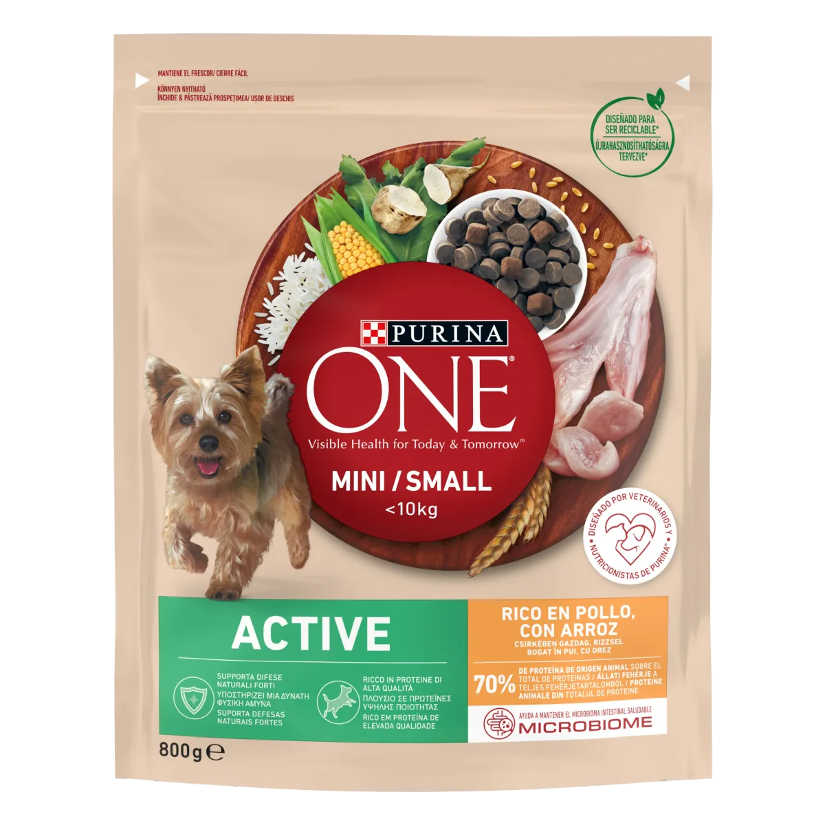Hrana Uscata Caini Purina ONE Mini Active Pui si Orez 800g