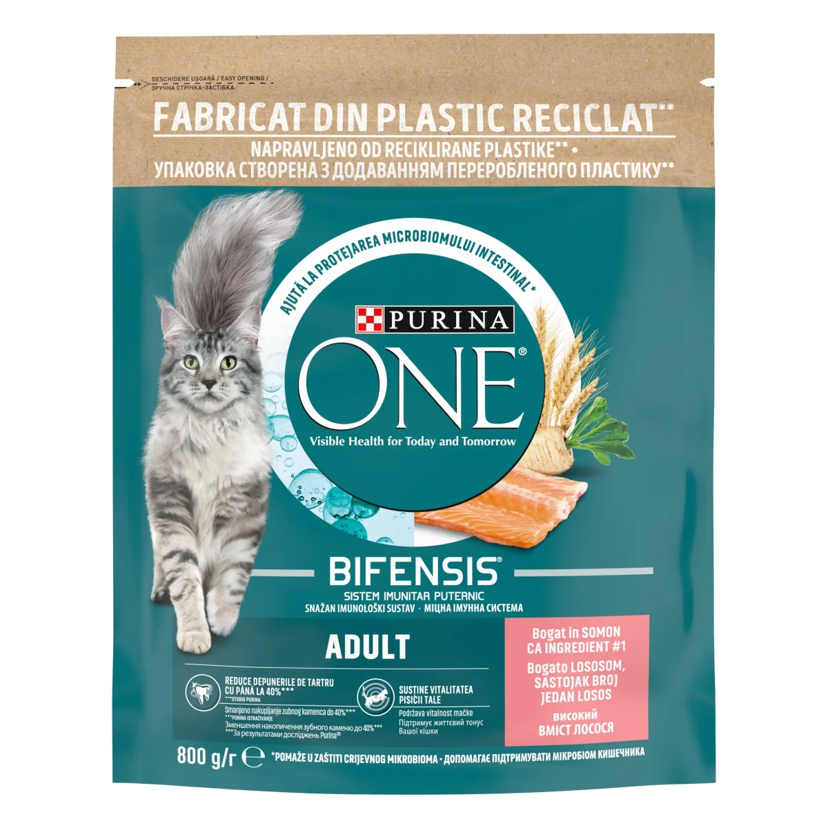 Hrana Uscata pentru Pisici Purina ONE Adult Somon si Cereale Integrale 800g