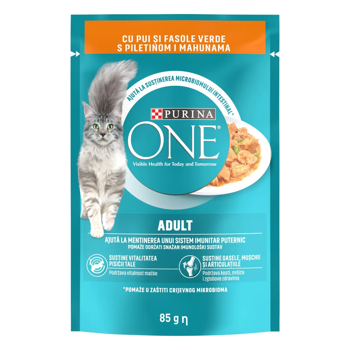 Hrana Umeda pentru Pisici Purina ONE Adult Mini Fileuri cu Pui si Fasole Verde in Sos 85g