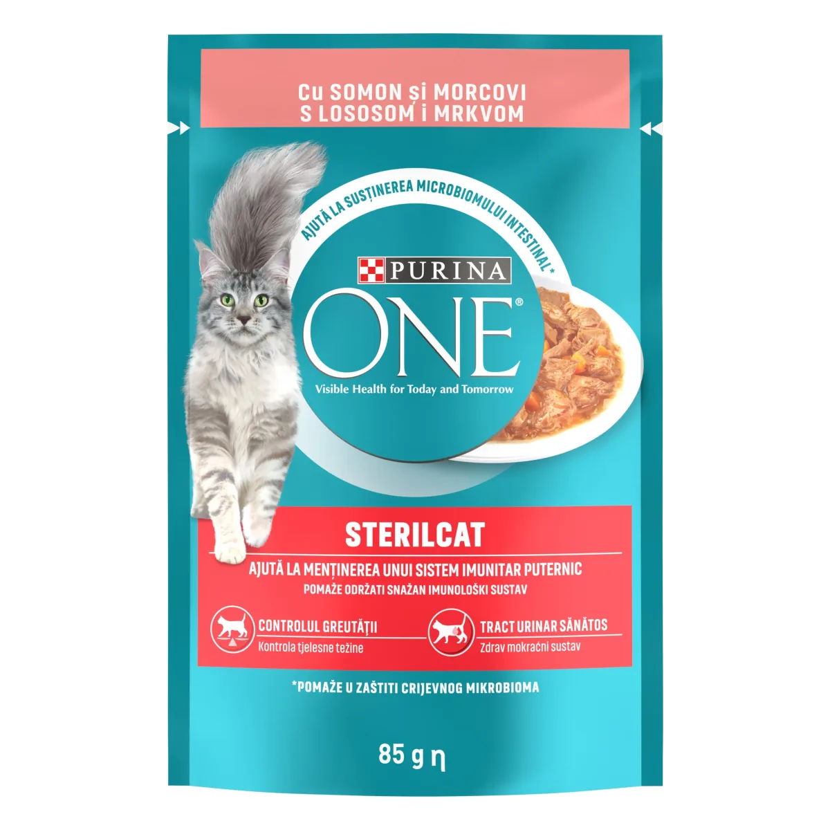 Purina ONE Sterilcat Mini Fileuri cu Somon si Morcov in Sos 85g