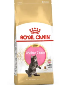 Hrana Uscata pentru Pisici Royal Canin Maine Coon Kitten 2kg