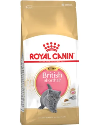 Hrana Uscata pentru Pisici Junior Royal Canin British Shorthair Kitten 400g - imagine 2
