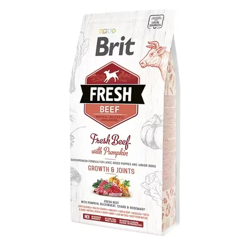Hrana Fresh Caini Brit Fresh Beef and Pumpkin Puppy Large 2.5kg