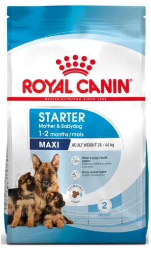 Royal Canin Maxi Starter Mother & Babydog 4kg