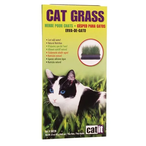 Iarba pentru Pisici Hagen Cat Grass 85g
