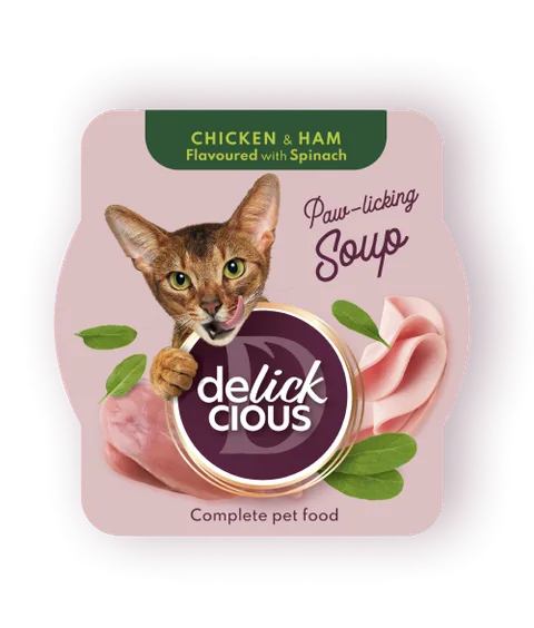 Plic Delickcious Supa Pui Sunca Spanac 80g