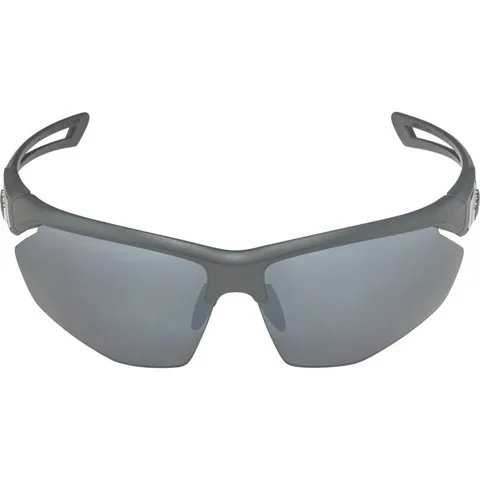 Alpina Nylos HR Categoria 3 Gri
