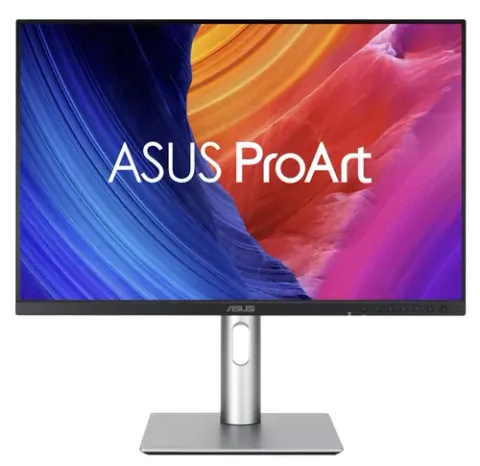 ASUS ProArt PA248QFV Gri