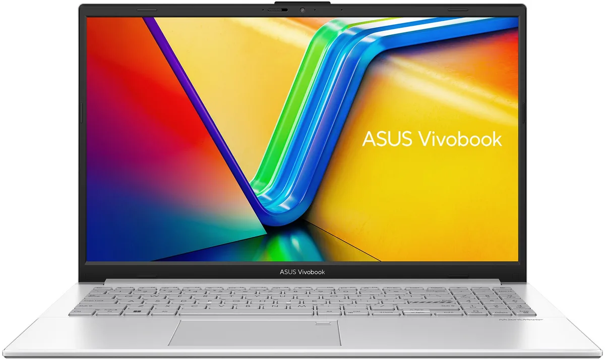 ASUS Vivobook Go 15 16GB RAM 2TB Argintiu
