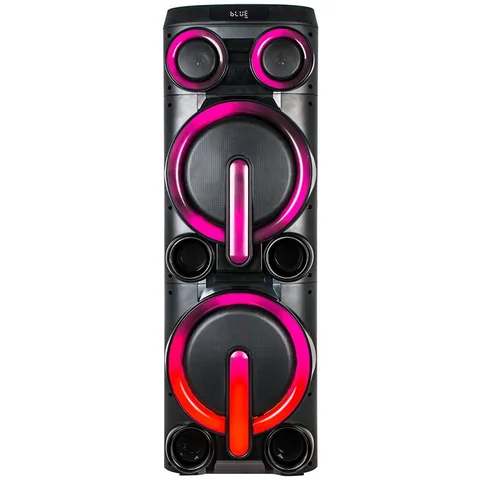 Boxa Portabila Ibiza Sound 2X10 Cu Microfon Wireless UHF
