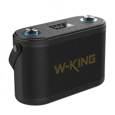 W-King H10 120W 2 Microfoane Negru