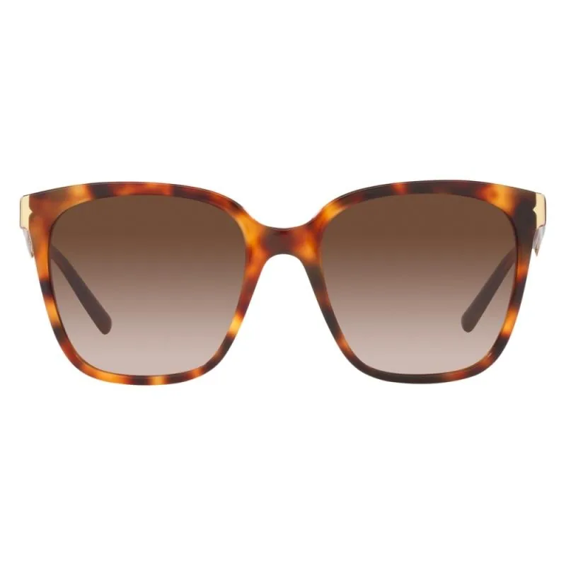 Bvlgari BV8245 5515/13 55