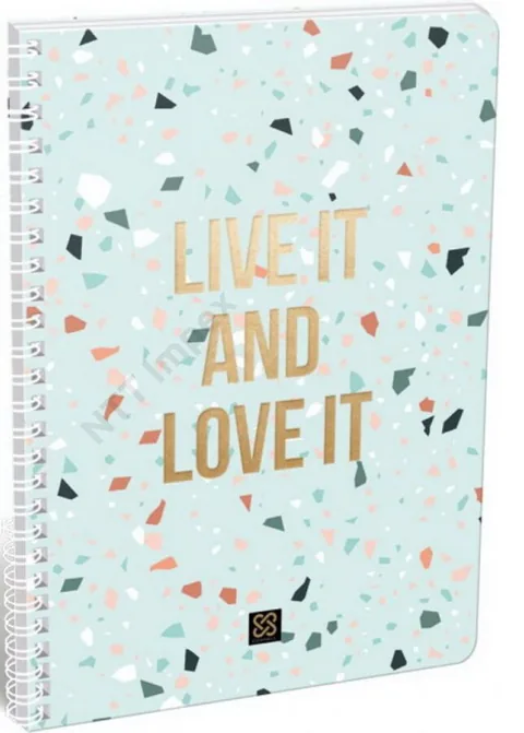 Caiet cu Spirala Lizzy Card Cornell Terrazzo Gold A4 70 Foi Randuri Largi