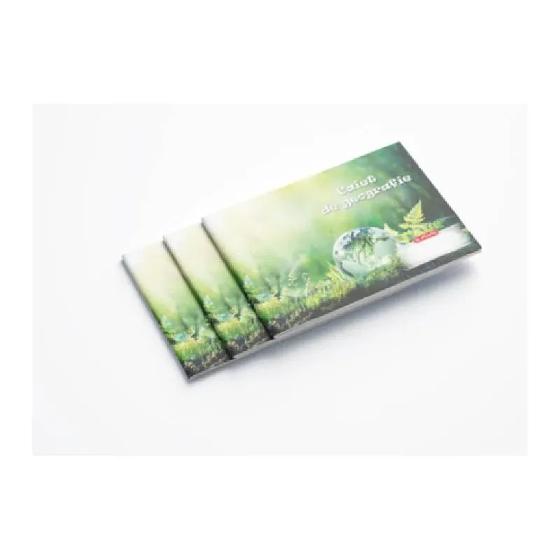 Caiet de Geografie Herlitz 24 File 60g/mp