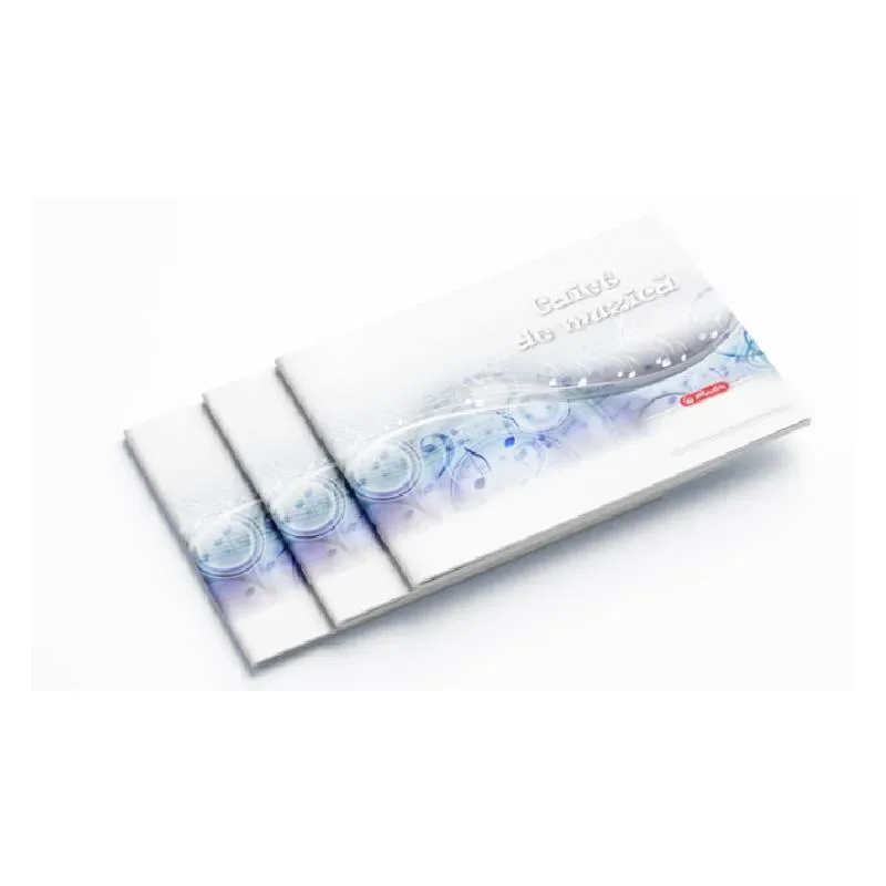 Caiet de Muzica Herlitz 24 File 60g/mp