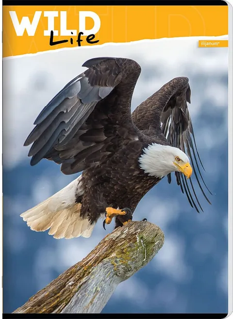 Caiet Ilijanum Wild Life A5 52 Foi Linii Largi Sortiment