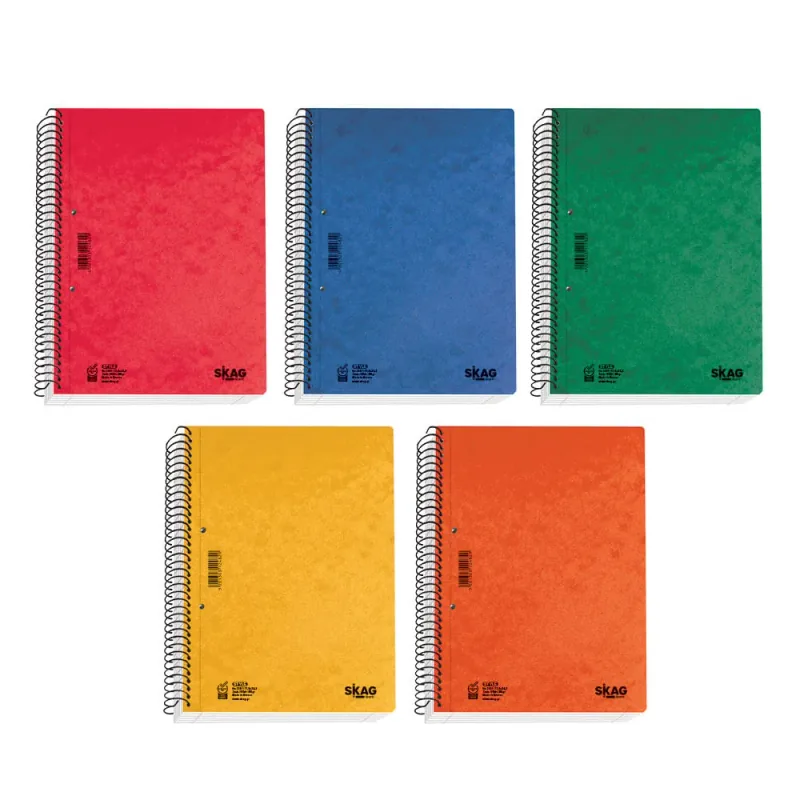 Caiet Skag Style B5 90 File cu Spira 3 Diviziuni Dictando