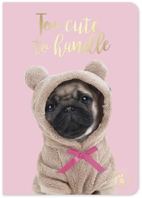 Caiet Studio Pets Snuggle Puppy A6