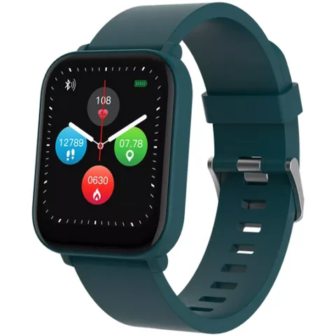 Canyon Smartwatch CNS-SW54BG 1.7inch 64MB Verde