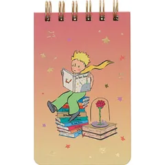 Carnet Kiub Le Petit Prince Degrade 9x14.5cm Dictando 160 Pagini Spirala