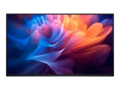Dell P2725H 27inch 100Hz Negru/Argintiu Fara Suport