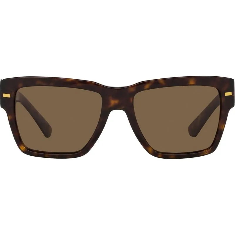 Dolce & Gabbana DG4431 502/73 55