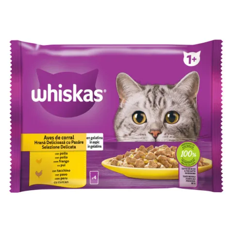 Hrana Umeda pentru Pisici Whiskas cu Carne de Pasare in Aspic 4x85g Adulti