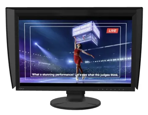 EIZO CG2400SV 24.1inch Negru