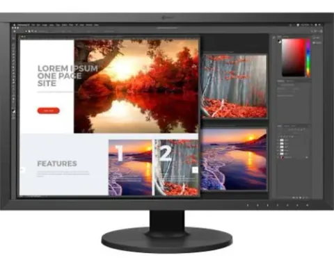 EIZO CS2740 Negru