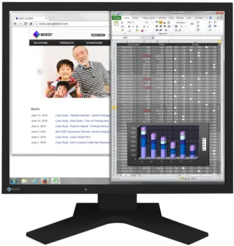 EIZO S1934H-BK Negru