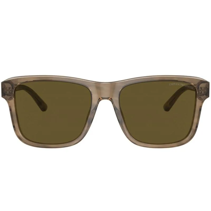 Emporio Armani EA4208 605573 56