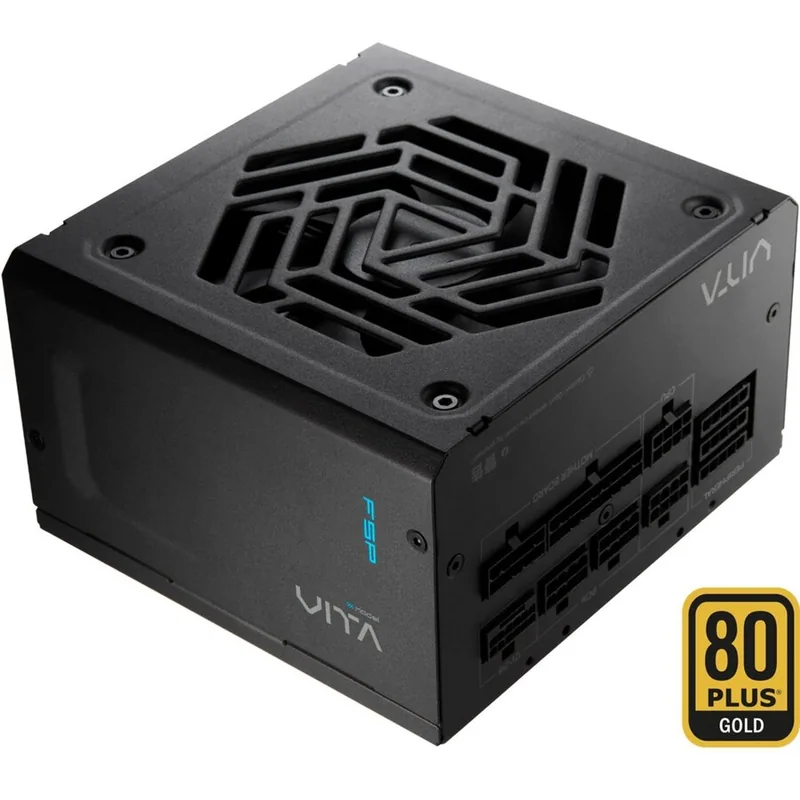 Fortron VITA GM 1000W