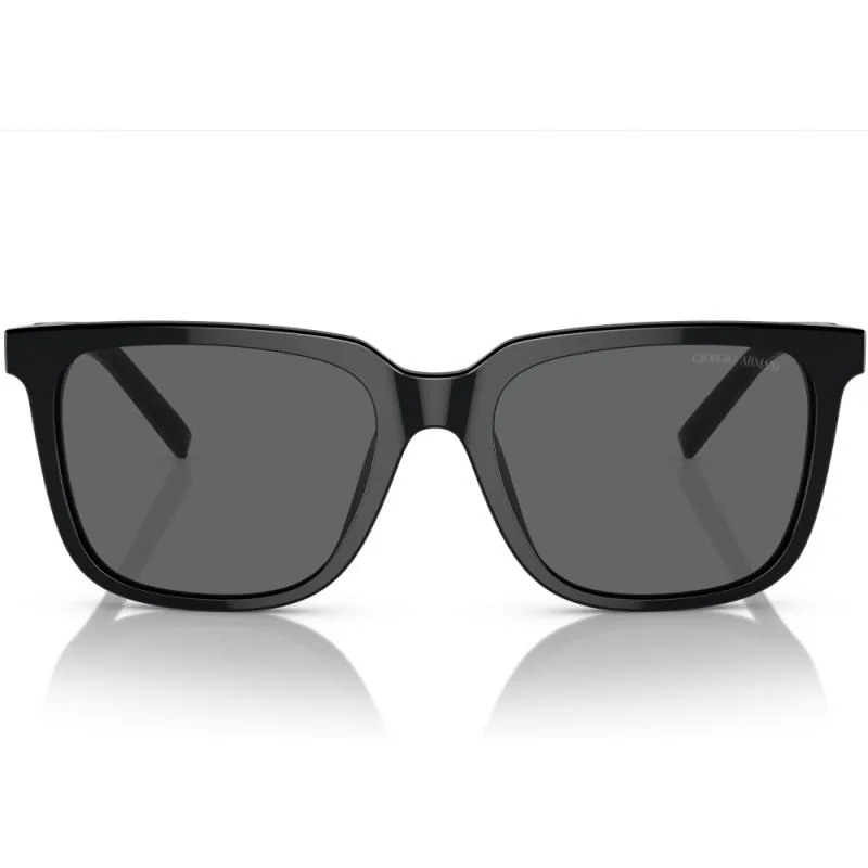 Giorgio Armani AR8202U 587587 55