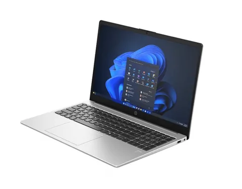 HP 250R G10 16GB RAM 512GB SSD Argintiu