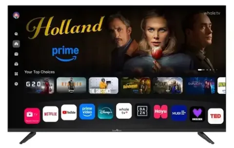 Smarttech 43QH02V QLED